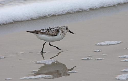 14 08 30_1789_edited-1