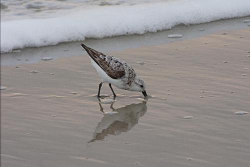 14 08 30_1795_edited-1-1