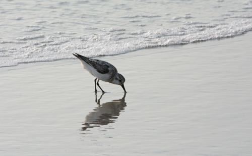 14 08 31_2049_edited-1