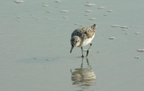 14 08 31_2139_edited-1