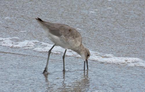 14 09 07_2445_edited-1