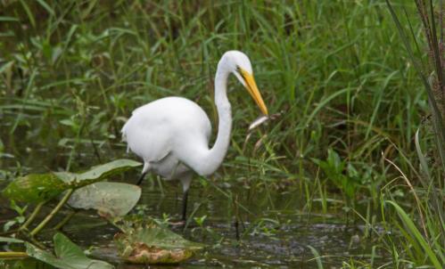 14 09 14_2539_edited-1