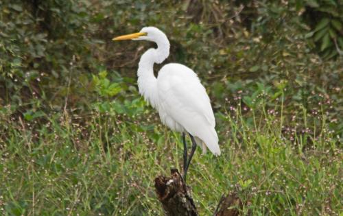 14 09 14_2582_edited-1