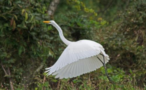 14 09 14_2596_edited-1