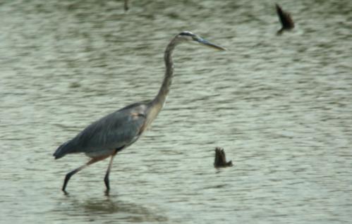 14 09 28_3032_edited-1