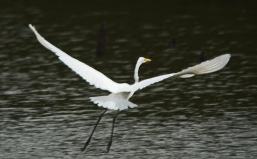 14 09 28_3140_edited-1