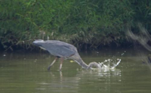 14 09 28_3193_edited-1