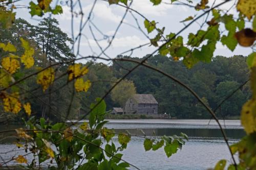 Yates Mill Pond, October 11, 2014