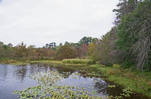 14 10 11_3469_edited-1