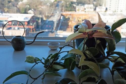 14 12 14_3866_edited-1