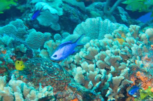 15 01 01_4586_edited-1