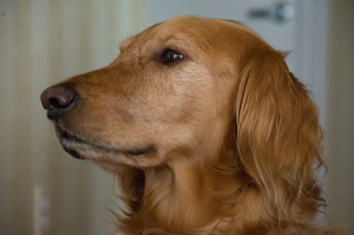 20150606-_DSC9972First Friday-Anniversaryuntitled shoot