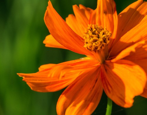 Raulston 6-12-15-0082