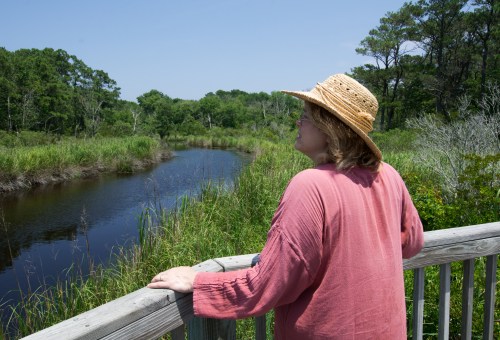 Corolla day one-0318