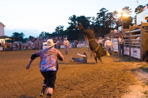 Raleigh Rodeo-1045
