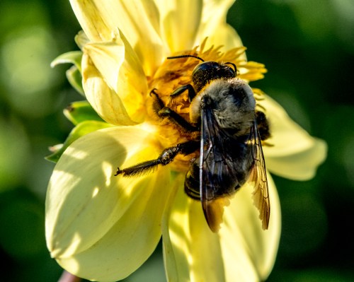 Rob Tiller -- Passionate Embrace -- 2015 (1 of 1)