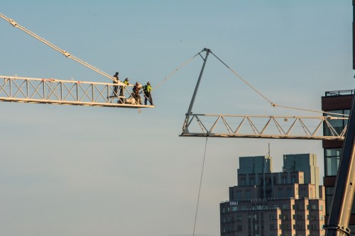 raulstonbfliesbug-1-11