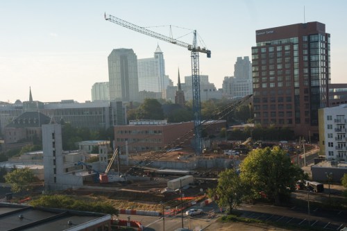 raulstonbfliesbug-1-12