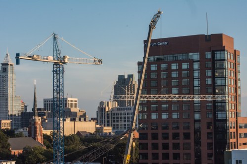 raulstonbfliesbug-1-9