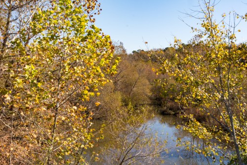 Big Woods Road, near Jordan Lake in Chatham County, November 5, 2016